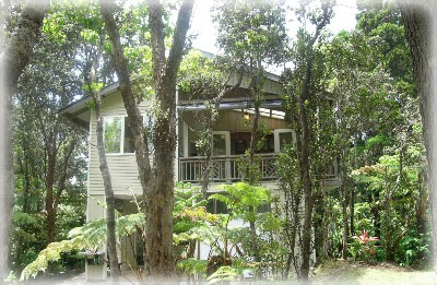 Maile Treehouse in Volcano